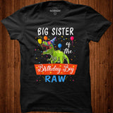 Big Sister Dinosaur Shirt Funny Cute Birthday Boy Family T Shirt - Nekotee