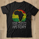 One Month Cant Hold Our History Pan African Black History T Shirt - Nekotee
