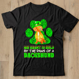 St Patricks Day My Heart Is Held By The Paws Of A Red Dachshund Shirt - Nekotee